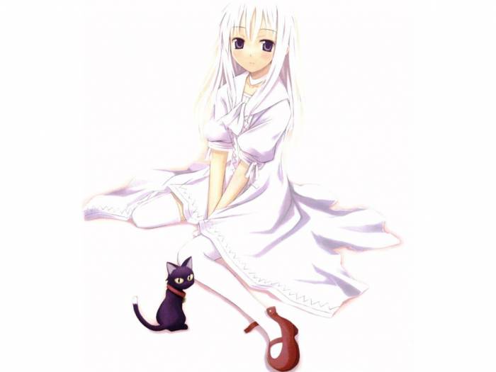 momo 01.jpg